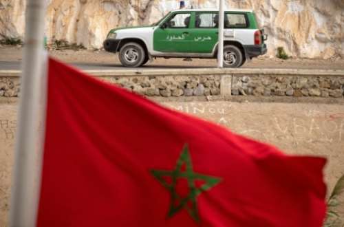 بسبب الجفاف ، يواجه النحل المغربي كارثة مريرة النحل